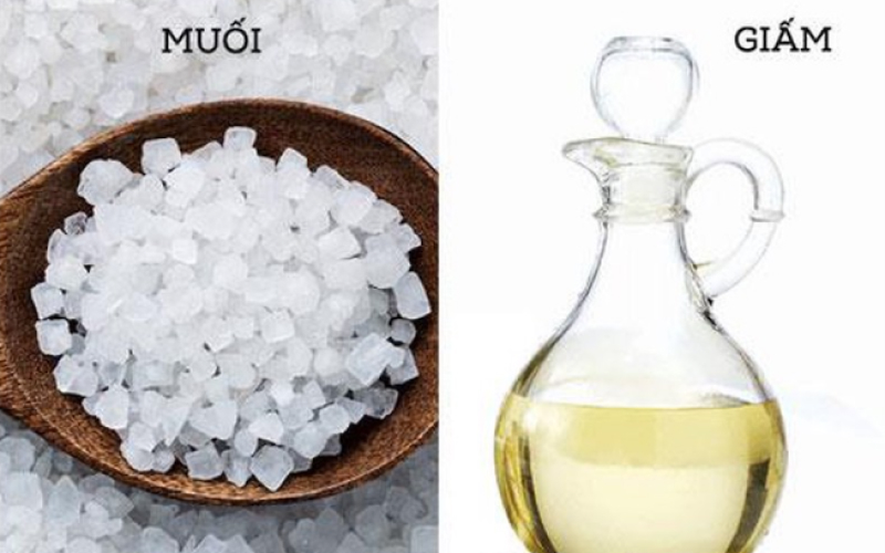 Giấm kết hợp với muối